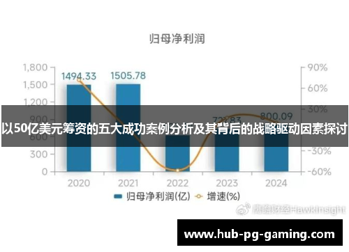 以50亿美元筹资的五大成功案例分析及其背后的战略驱动因素探讨