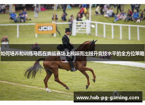 如何培养和训练马匹在奥运赛场上脱颖而出提升竞技水平的全方位策略