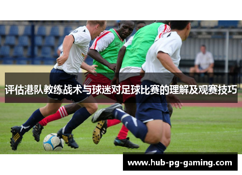 评估港队教练战术与球迷对足球比赛的理解及观赛技巧
