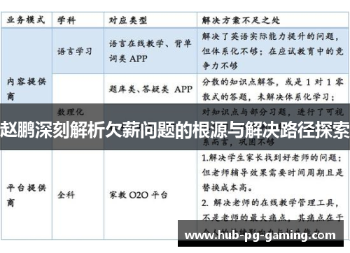 赵鹏深刻解析欠薪问题的根源与解决路径探索